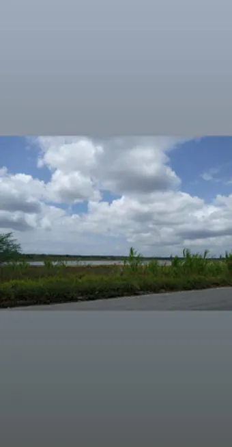 Foto 1 de Fazenda/Sítio com 3 Quartos à venda, 110000m² em Centro, Macaíba