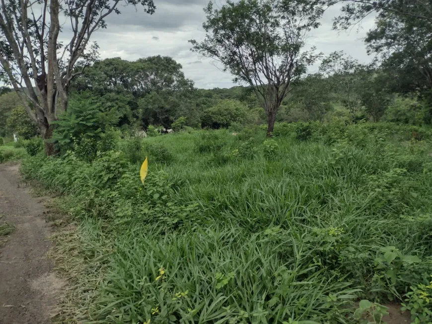 Foto 1 de Lote/Terreno à venda, 20000m² em Zona Rural, Fortuna de Minas