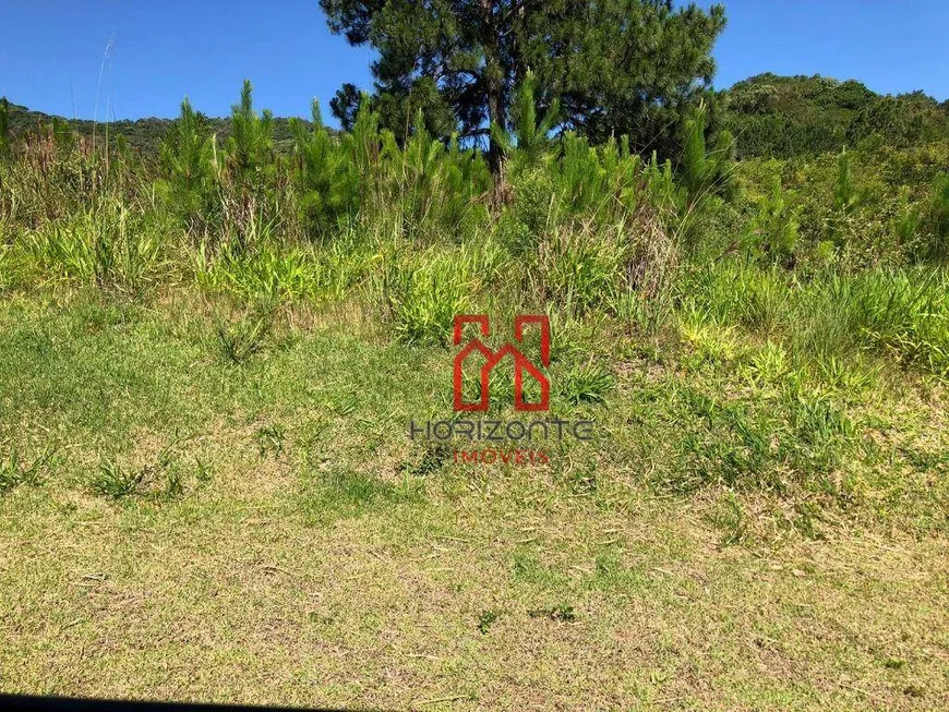 Foto 1 de Lote/Terreno à venda, 525m² em Itacorubi, Florianópolis