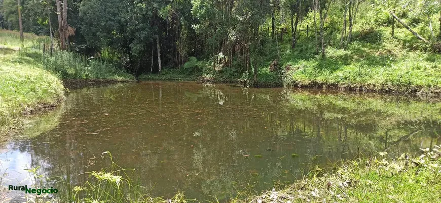 Foto 1 de Fazenda/Sítio à venda, 157300m² em Centro, Cunha