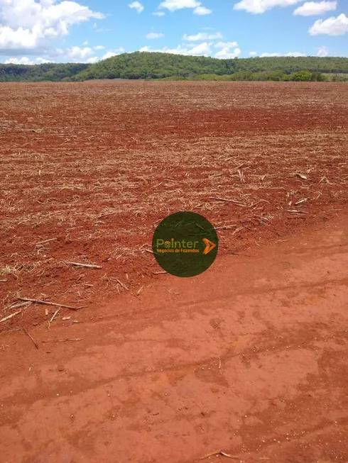 Foto 1 de Fazenda/Sítio à venda, 10696400m² em Zona Rural, Palestina