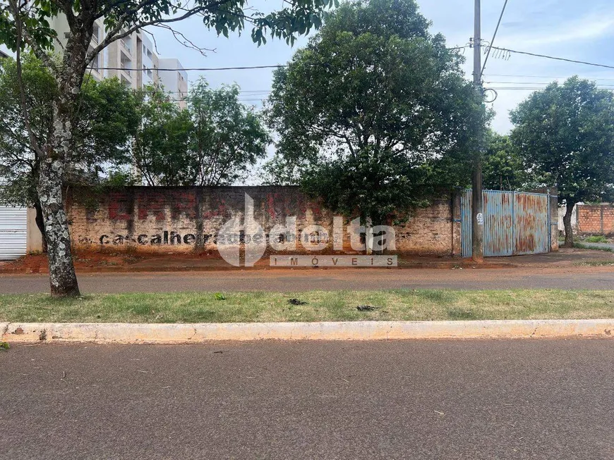 Foto 1 de Lote/Terreno à venda, 600m² em Segismundo Pereira, Uberlândia