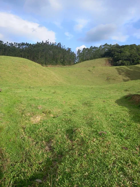 Foto 1 de Fazenda/Sítio à venda, 160000m² em Zona Rural, São Bonifácio