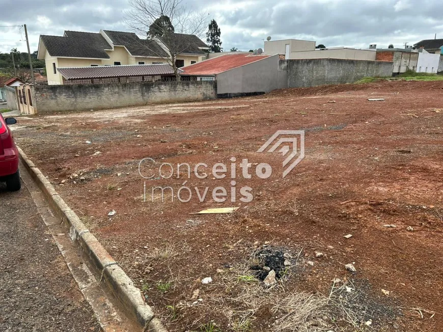 Foto 1 de Lote/Terreno à venda, 300m² em Uvaranas, Ponta Grossa