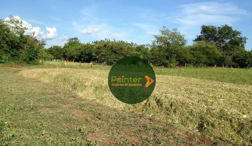 Foto 1 de Fazenda/Sítio à venda, 15750m² em Zona Rural, Cocalinho