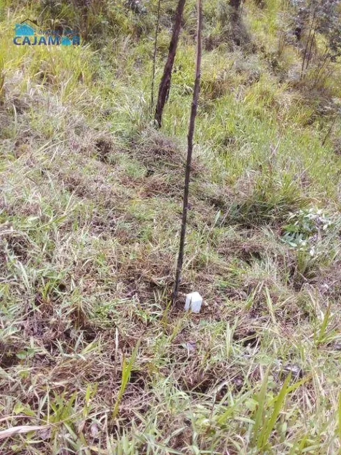 Foto 1 de Lote/Terreno à venda, 3810m² em , Pirapora do Bom Jesus