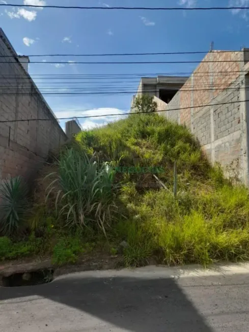 Foto 1 de Lote/Terreno à venda, 286m² em Terras Altas, Juiz de Fora