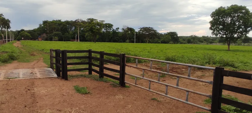 Foto 1 de Fazenda/Sítio com 2 Quartos à venda, 726000m² em Setor Central, Gurupi