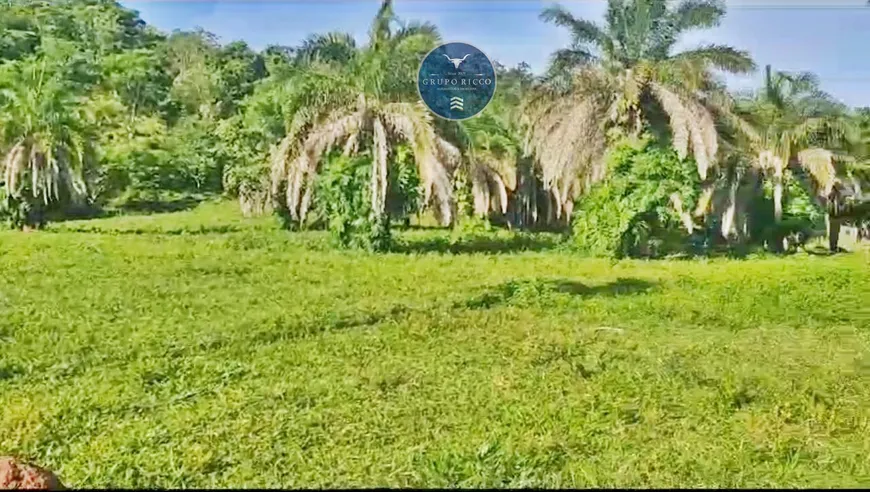 Foto 1 de Fazenda/Sítio à venda em Zona Rural, Iporá