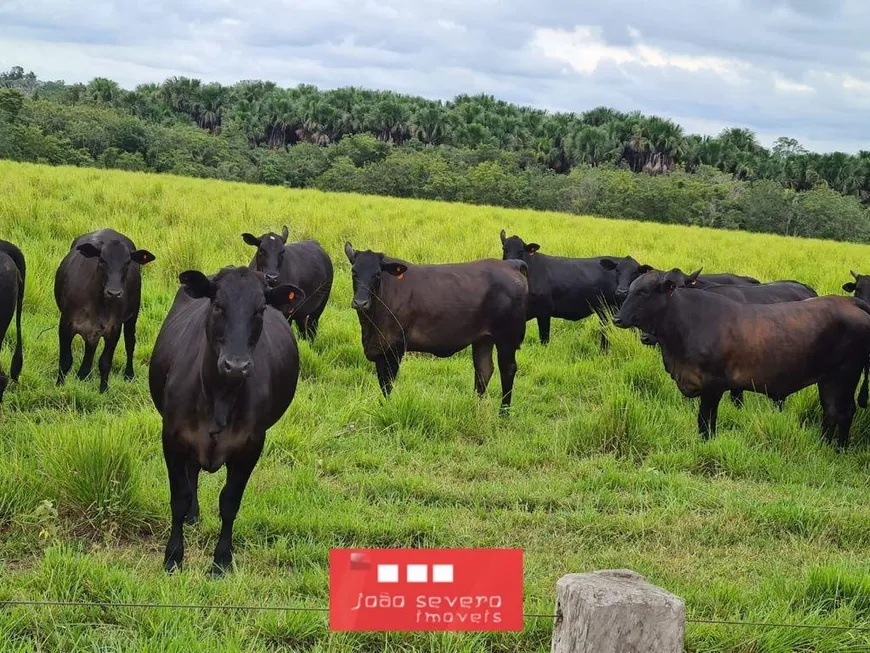 Foto 1 de Fazenda/Sítio à venda, 3538m² em Jardim Paulista, Araguaína