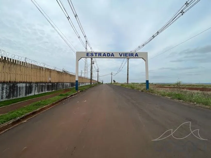 Foto 1 de com 2 Quartos à venda, 9000m² em Zona Rural, Marialva