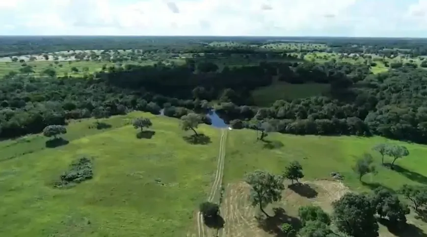 Foto 1 de Fazenda/Sítio à venda em Zona Rural, Cocalinho