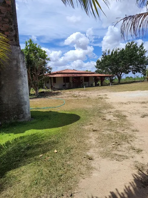 Foto 1 de Fazenda/Sítio com 3 Quartos à venda, 20000m² em Centro, Rio do Fogo