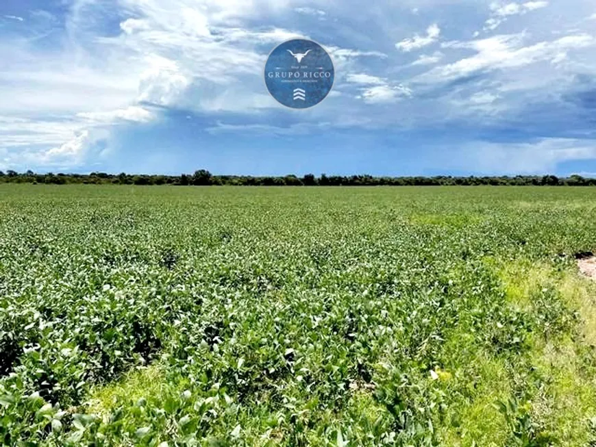 Foto 1 de Fazenda/Sítio à venda em Zona Rural, Formoso do Araguaia