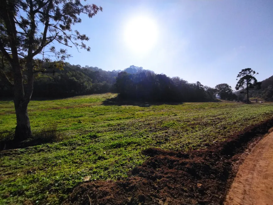 Foto 1 de Fazenda/Sítio à venda, 22000m² em Centro, Campo Magro