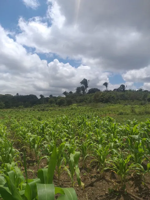 Foto 1 de Fazenda/Sítio com 3 Quartos à venda, 20000m² em , Ibiapina