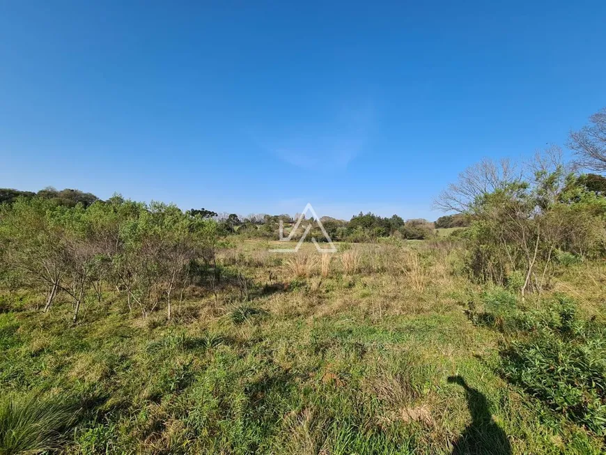 Foto 1 de Fazenda/Sítio à venda, 2m² em Integracao, Passo Fundo