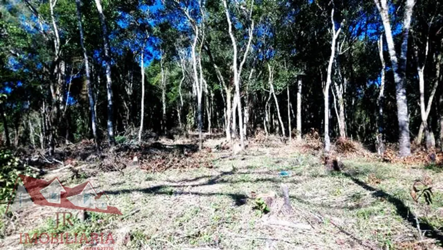 Foto 1 de Fazenda/Sítio com 1 Quarto à venda, 5900m² em Colônia Murici, São José dos Pinhais