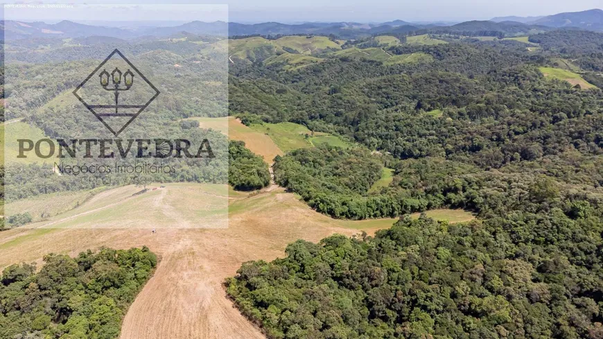 Foto 1 de Lote/Terreno à venda, 106493m² em , Campo Magro