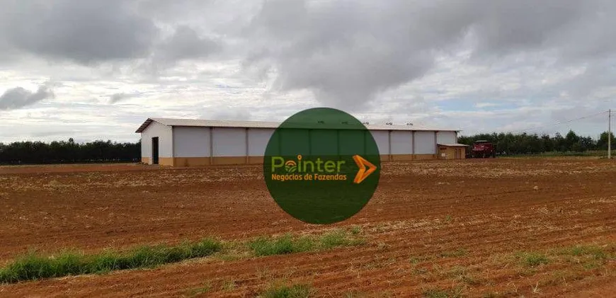 Foto 1 de Fazenda/Sítio à venda, 175310000m² em Zona Rural, Água Boa