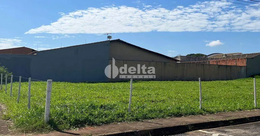 Foto 1 de Lote/Terreno à venda, 1000m² em Marta Helena, Uberlândia