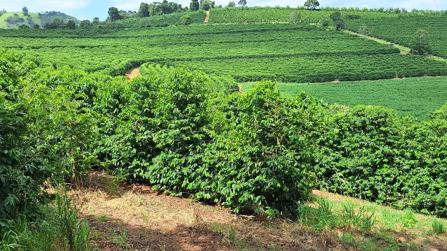 Foto 1 de Fazenda/Sítio à venda, 455000m² em Zona Rural, Turvolândia