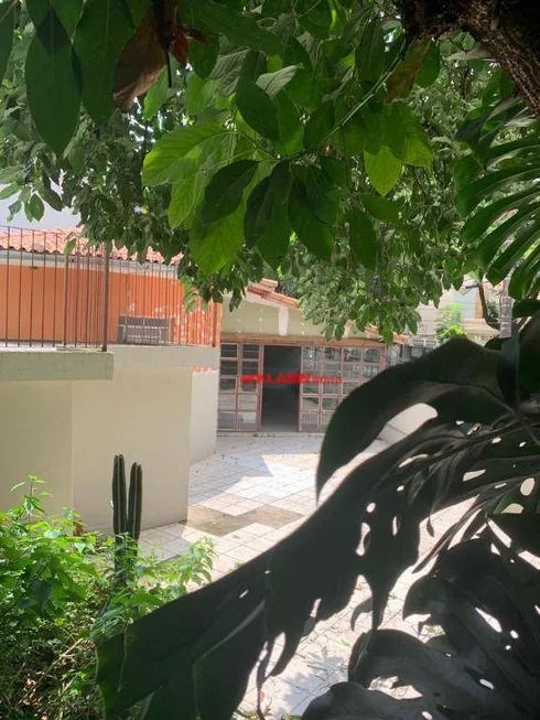 Foto 1 de Imóvel Comercial com 3 Quartos para venda ou aluguel, 250m² em Vila Mariana, São Paulo