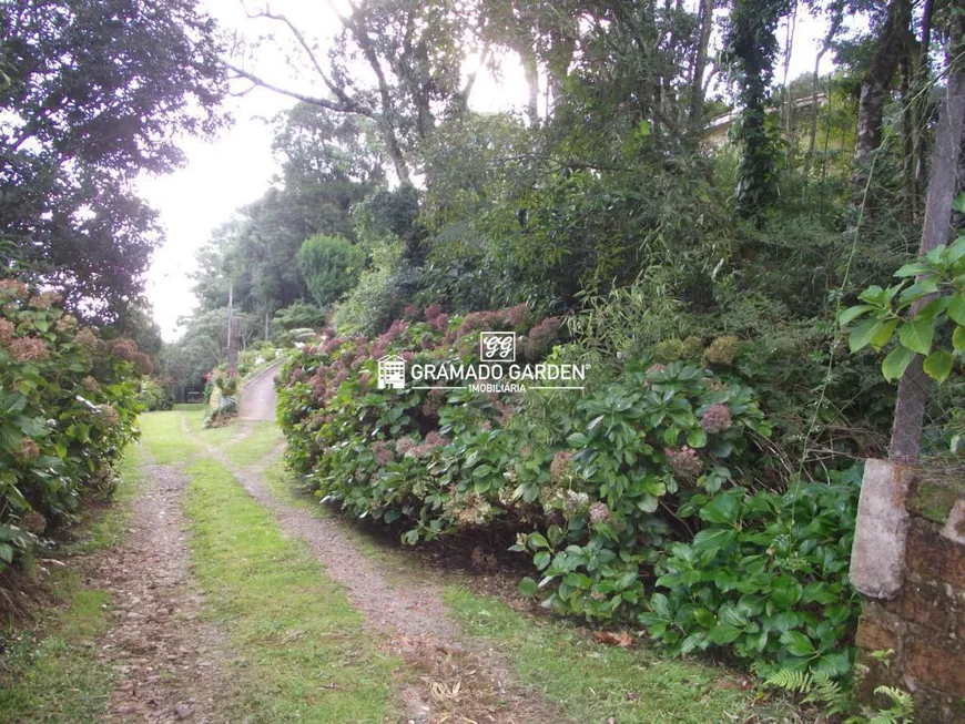 Foto 1 de Lote/Terreno à venda, 1180m² em Mato Queimado, Gramado