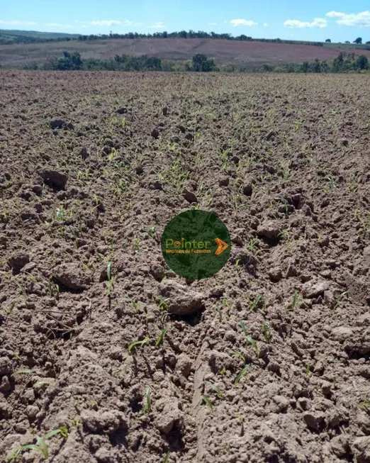 Foto 1 de Fazenda/Sítio à venda, 2565200m² em Zona Rural, Paraúna