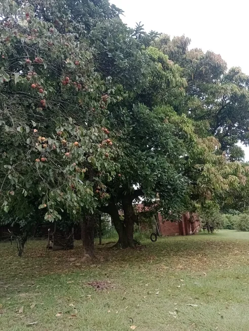 Foto 1 de Casa com 3 Quartos à venda, 500m² em Condominio Rural Colmeia, Jaguariúna