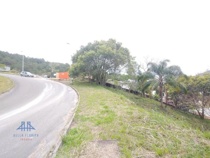 Foto 1 de Lote/Terreno à venda, 785m² em Itacorubi, Florianópolis