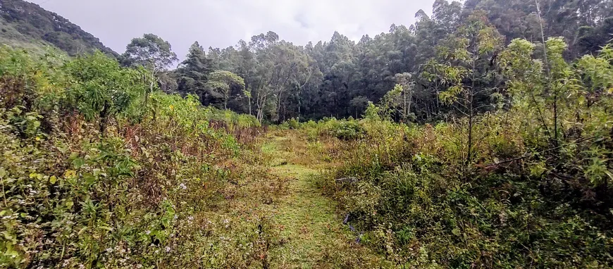 Foto 1 de Lote/Terreno à venda, 21800m² em Zona Rural, Marmelópolis