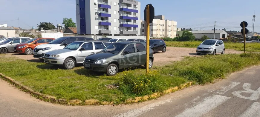 Foto 1 de Lote/Terreno à venda, 1m² em Jardim Colinas, Cachoeirinha