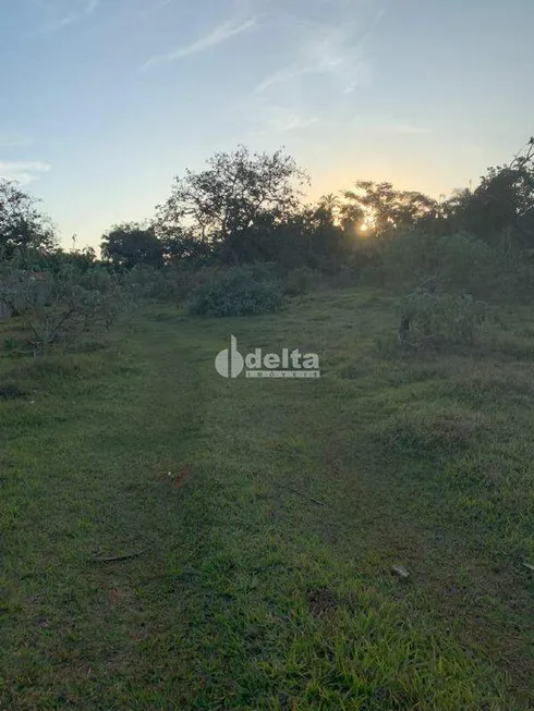 Foto 1 de Fazenda/Sítio à venda, 5000m² em Panorama, Uberlândia