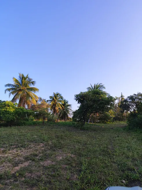 Foto 1 de Fazenda/Sítio com 3 Quartos à venda, 5000m² em Povoado Punau, Rio do Fogo