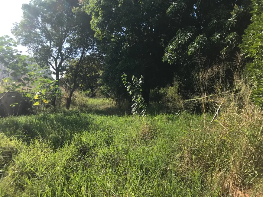 Foto 1 de Lote/Terreno à venda, 3600m² em Bom Jesus, Contagem