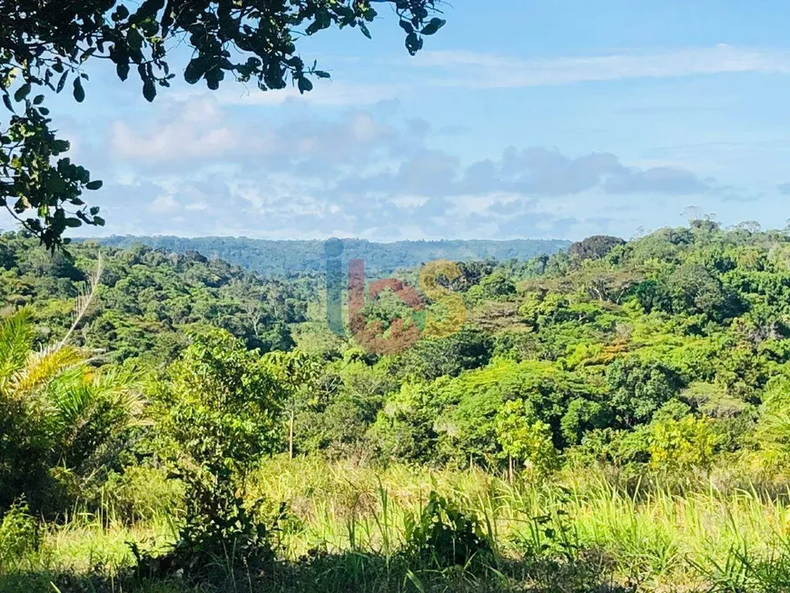 Foto 1 de Fazenda/Sítio à venda, 22310m² em Centro, Uruçuca