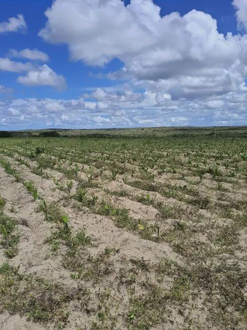 Foto 1 de Fazenda/Sítio com 3 Quartos à venda, 85000m² em Centro, Ielmo Marinho