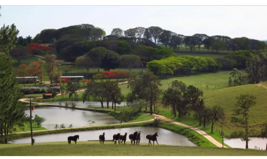 Foto 1 de Fazenda/Sítio com 8 Quartos à venda, 1150m² em Area Rural de Campinas, Campinas