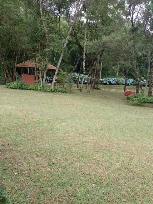 Foto 1 de Fazenda/Sítio com 3 Quartos à venda, 16300m² em Campestre dos Paulas, Mandirituba