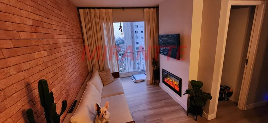 Foto 1 de Apartamento com 2 Quartos à venda, 49m² em Vila Pirituba, São Paulo