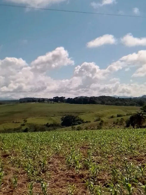 Foto 1 de Fazenda/Sítio com 2 Quartos à venda, 30000m² em Zona Rural, Jacutinga