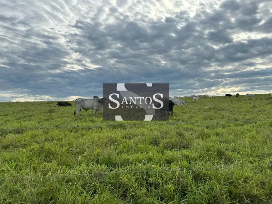 Foto 1 de Fazenda/Sítio com 3 Quartos à venda, 3872000m² em Serrinha, Campos dos Goytacazes