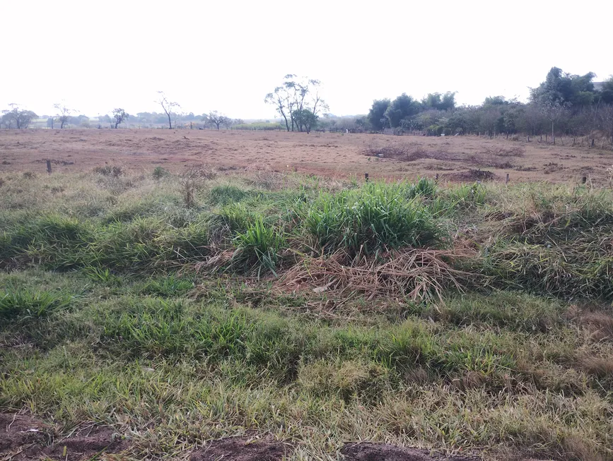 Foto 1 de Lote/Terreno à venda, 153000m² em Adelino Simioni, Ribeirão Preto