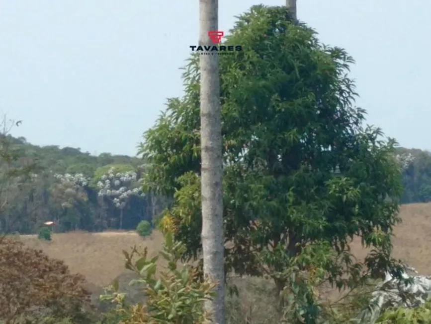 Foto 1 de Lote/Terreno à venda, 20000m² em Zona Rural, Caeté