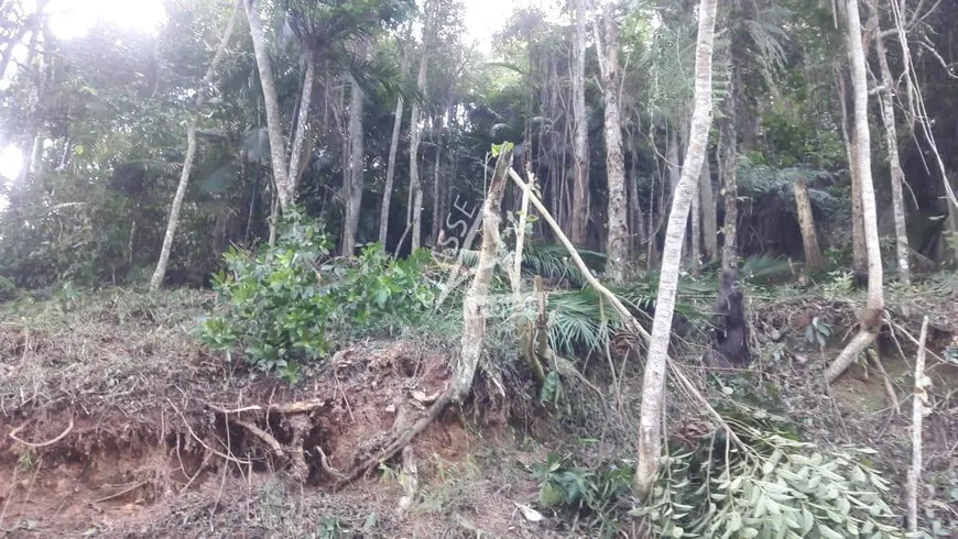 Foto 1 de Lote/Terreno à venda, 1200m² em Jardim Anchieta, Mauá