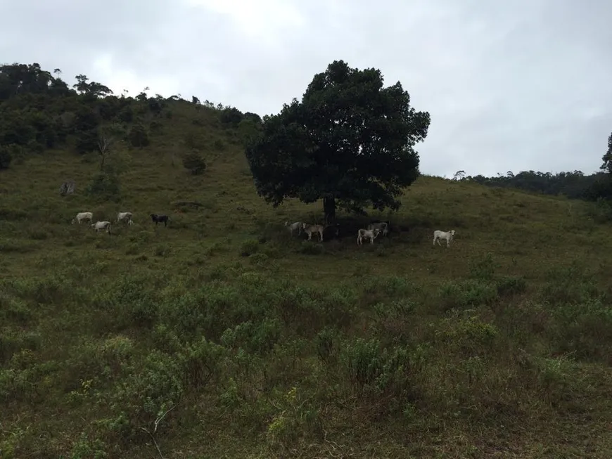 Foto 1 de Fazenda/Sítio à venda, 1320000m² em Entroncamento de Jaguaquara, Jaguaquara