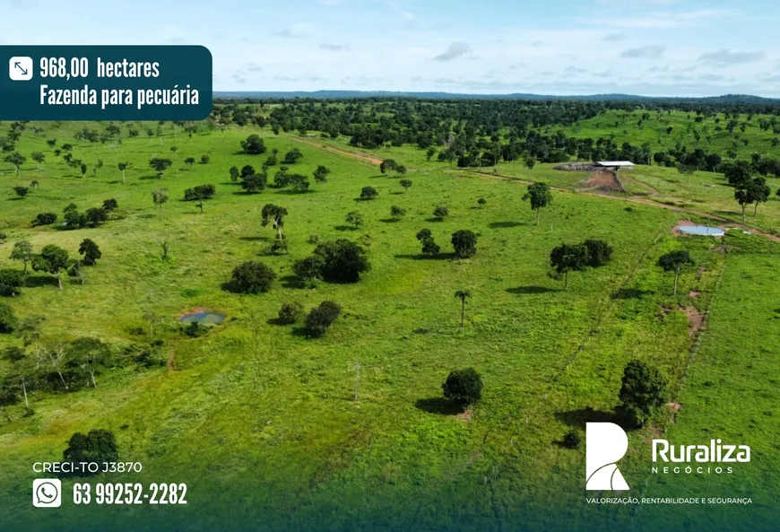 Foto 1 de Fazenda/Sítio à venda, 968m² em Zona Rural, Itacajá