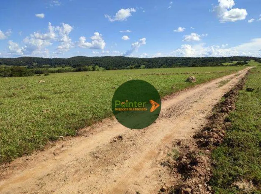 Foto 1 de Fazenda/Sítio à venda, 3000800m² em Zona Rural, Uruana