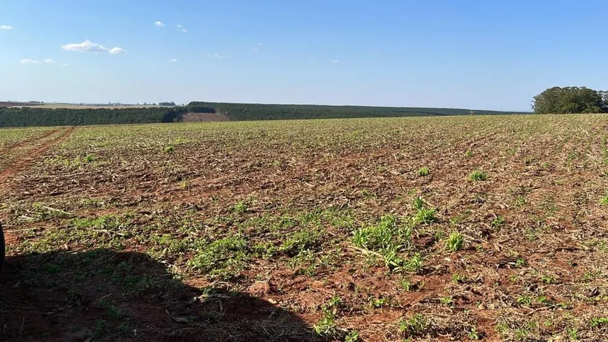 Foto 1 de Fazenda/Sítio com 3 Quartos à venda, 80m² em Area Rural de Itapeva, Itapeva